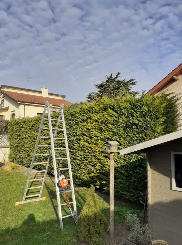 Avant intervention : taille d'une haie de conifères en hauteur — Secteur Diémoz (38)